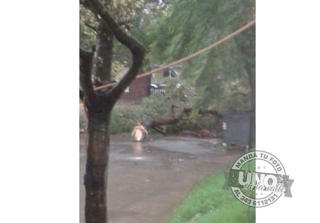 Terrible temporal de lluvia y viento generó graves destrozos en Paraná