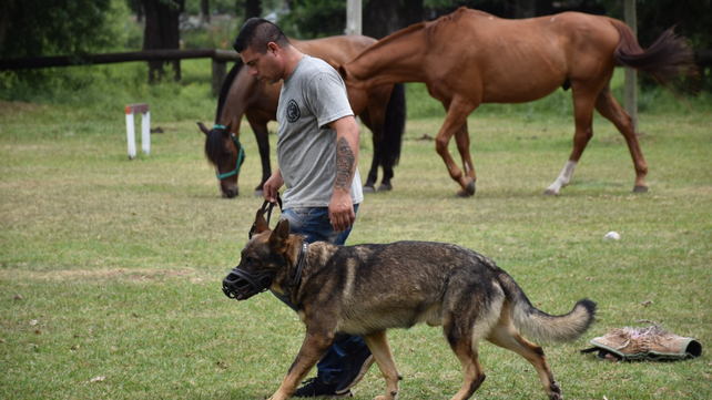 El gobierno provincial puso en marcha a la Brigada de Rescate Animal