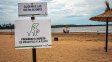 Balneario Thompson: por razones de seguridad, se restringe el ingreso de mascotas
