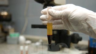 Destacan el resultado de la campaña de donación de sangre Padre Trucco