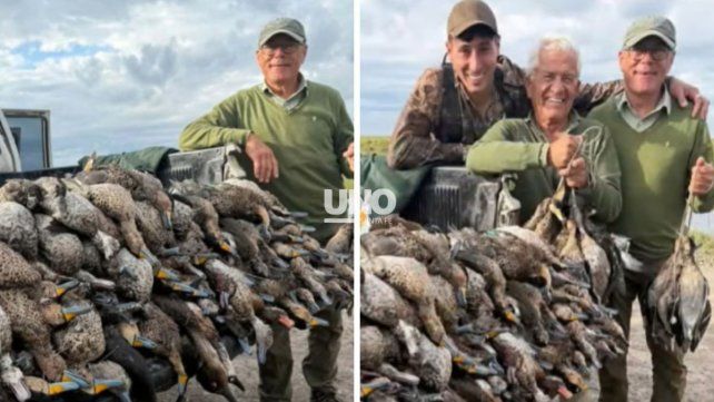 Modus operandi del crimen organizado: La masacre de más de 300 animales en el norte santafesino