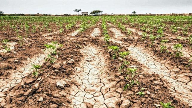 El Estado apoyará a los productores damnificados con la sequía con medidas fiscales