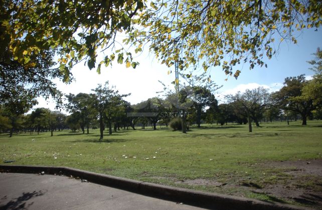 Salidas recreativas: plazas desiertas y una peatonal concurrida