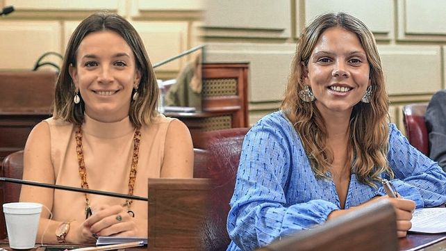 Lucila De Ponti y Gisel Mahmud presidirán la primera comisión de género de Diputados