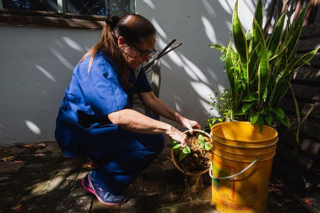Suman 38 los casos de dengue en Entre Ríos