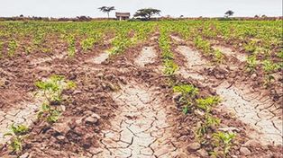 Extienden plazo a productores de Santa Fe para acceder a subsidio nacional