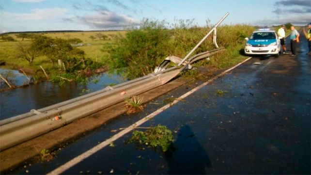 Intentó esquivar un carpincho y cayó al vacío desde un puente