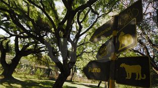 Granja la Esmeralda: el Plan Estratégico y dos años largos de silencio y olvido