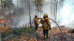 El Gobierno de Entre Ríos declaró el estado de Emergencia Ambiental en todo el territorio por tres meses para reforzar la lucha contra el fuego