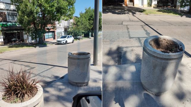 Cámaras de seguridad captan robo de reflectores del Centro de Salud Illia de Paraná. Denunciaron faltante de palmeras de los macetones de avenida Ramírez
