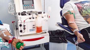 Coronavirus: un estudio con participación rosarina sostiene que el plasma no es eficaz