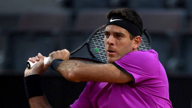 Del Potro quiere meterse en los cuartos de final de Washington