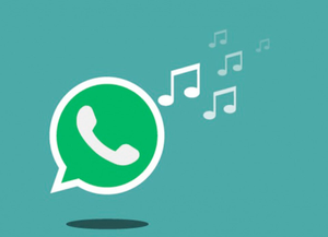 Cómo compartir canciones en los estados de WhatsApp