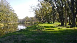Hallan ahorcado en los bosques de Ezeiza a un mochilero francés