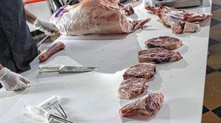 Afianzan la producción de carne ovina e impulsan su consumo