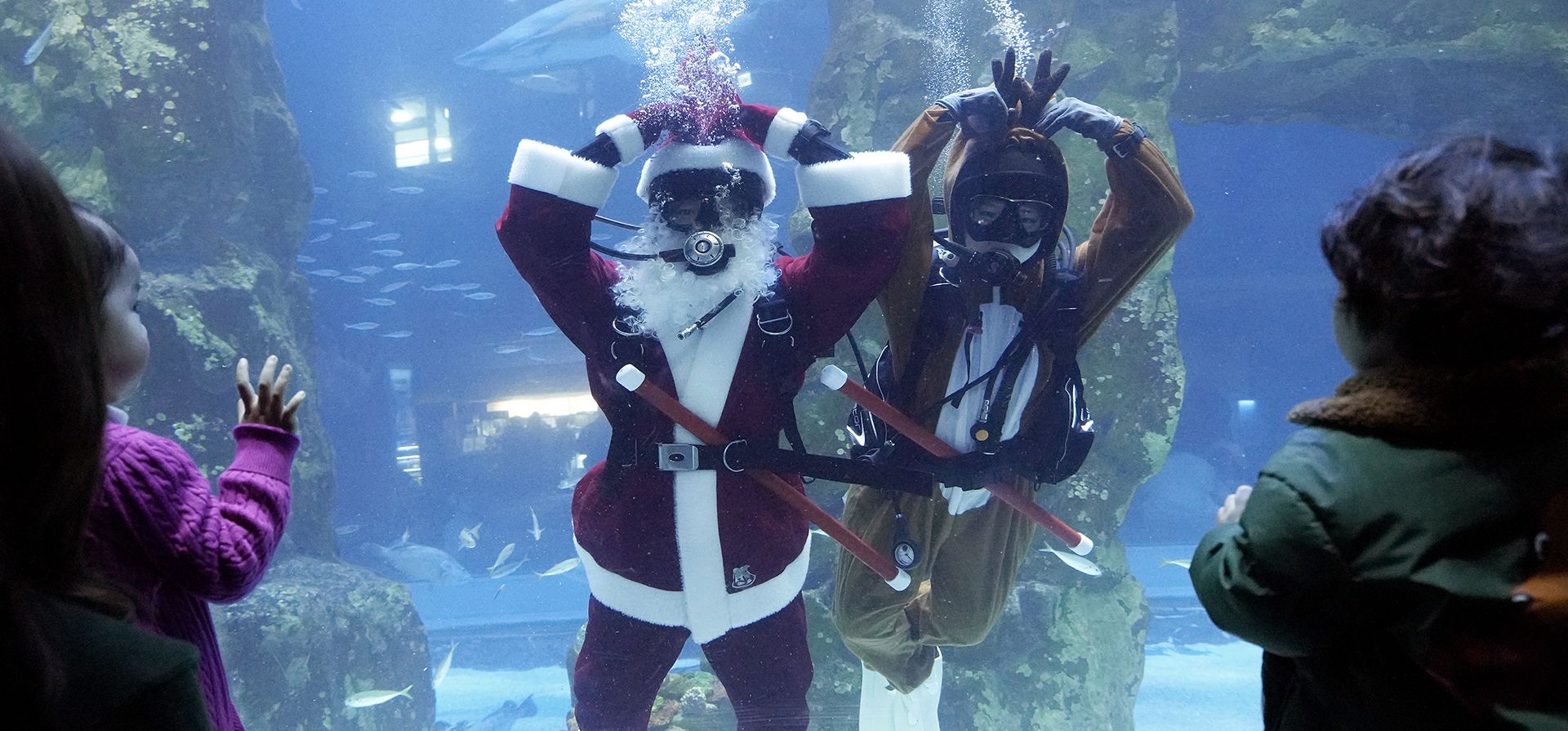 Buzos vestidos con trajes de Papá Noel y Rodolfo saludan a los niños antes de la próxima Navidad en el Lotte World Aquarium en Seúl, Corea del Sur, el lunes 23 de diciembre de 2024. (Foto AP/Ahn Young-joon) Buzos vestidos con trajes de Papá Noel y Rodolfo saludan a los niños antes de la próxima Navidad en el Lotte World Aquarium en Seúl, Corea del Sur, el lunes 23 de diciembre de 2024. (Foto AP/Ahn Young-joon)