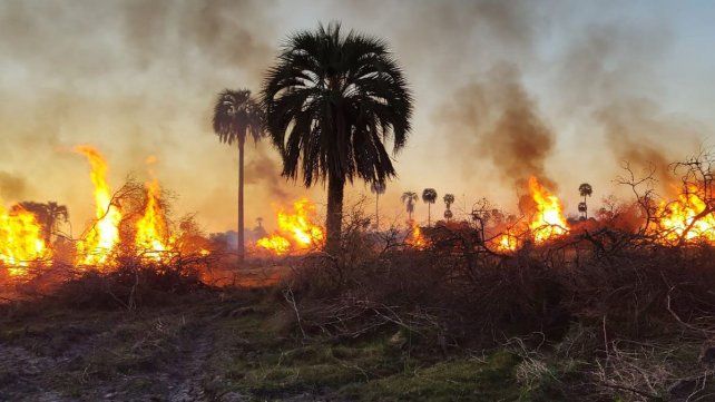 Denuncian quemas y desmonte donde se iba a ubicar el tercer parque nacional entrerriano