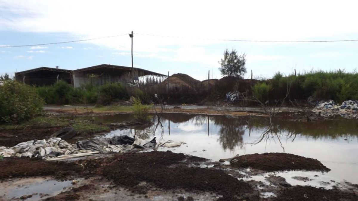 Clausuran una empresa de Fighiera por contaminar las napas y provocar
