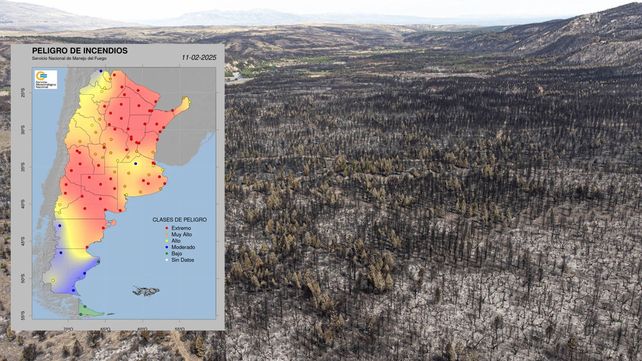 Incendios: más de 280.000 hectáreas en Corrientes