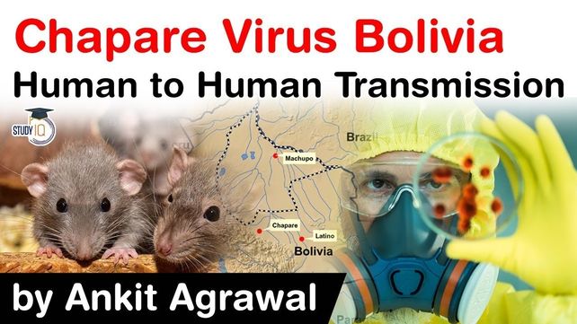 Alarma: el mortal virus Chapare reapareció en Bolivia y causó tres muertes