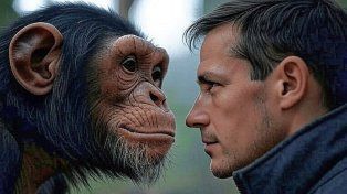 Los humanos tienen el pelo más delgado y menos duro en el cuerpo que los animales