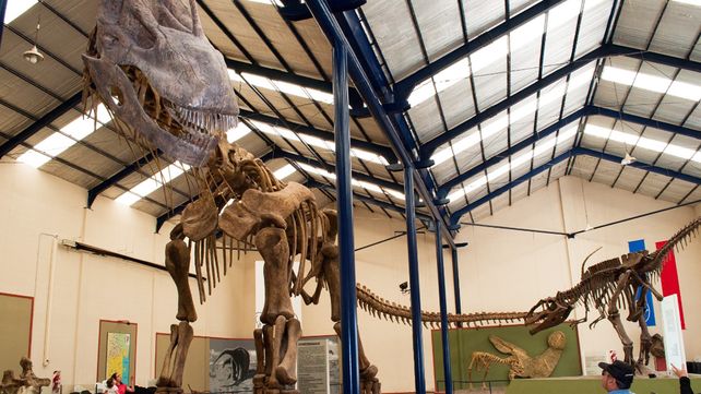 Ruta de los Dinosaurios Neuquina