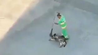 Un barrendero mimó a un perro callejero con su escoba y el video se hizo viral