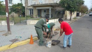 Limpieza de desagües: se retiraron kilos de basura y hasta un árbol
