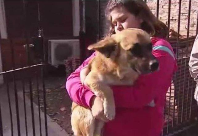 El perro que salvó al bebé ya había tenido otro acto heroico hace dos meses