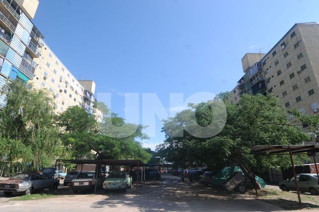 Las torres que emergieron desde el lecho de la laguna para ser hogar