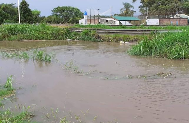 Alejandra. Gentielza Radio Amanecer