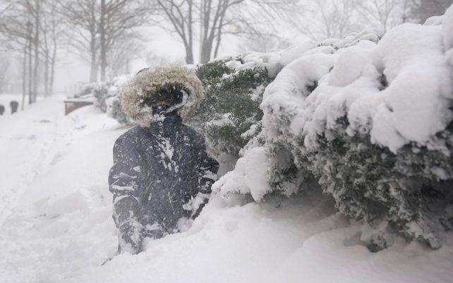 Un joven disfruta jugando en un banco de nieve profunda en Hoboken, Nueva Jersey. Los árboles de hoja perenne son especialmente buenos para atrapar la nieve.