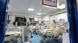 Gran rebrote de coronavirus: investigan la aparición de una cepa chilena