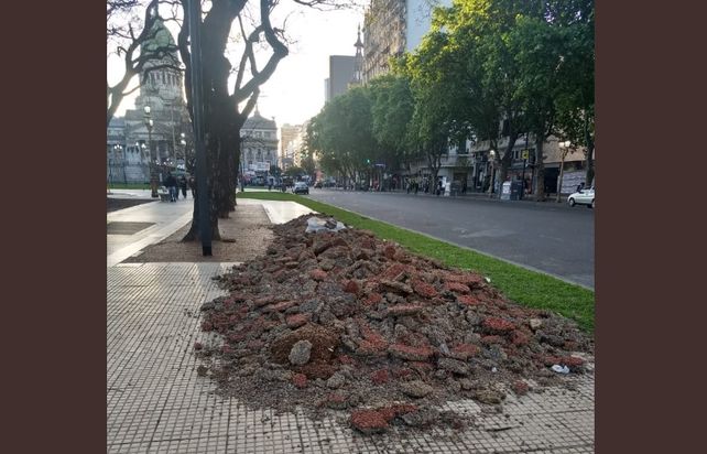 Denunciaron plan de infiltrados para provocar disturbio y represión en la protesta frente al Congreso