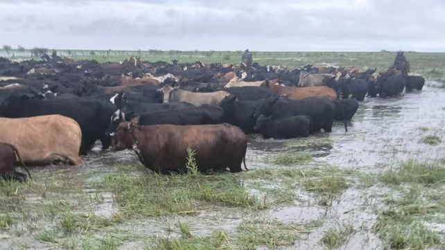 Anegamientos: productores del norte de Santa Fe reclaman obras y previsión ante El Niño y la crecida del Paraná.
