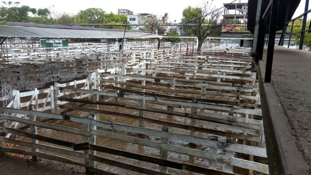 Finaliza el cese de comercialización del campo con el anhelo de dialogo con el Gobierno