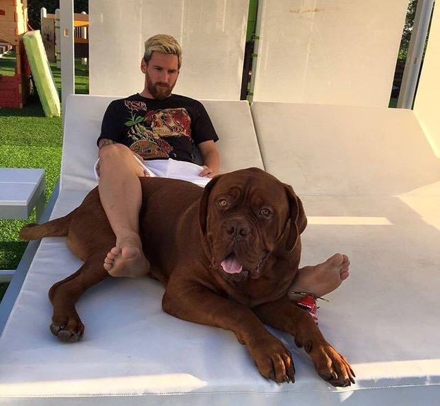 Messi subió la foto con su perro a Facebook. &nbsp;