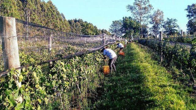 Paraná será sede de las Jornadas Nacionales de Turismo del Vino el 22 y 23 de octubre.