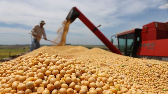 El Gobierno suspenderá la baja de retenciones para subproductos de soja