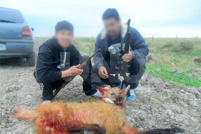 Arrestaron a un hombre por matar a un animal en peligro de extinción