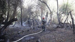 Pese a que la lluvia trajo cierta tranquilidad, continúa el alerta máxima en El Bolsón por la llegada de ráfagas de viento que reactivarían los incendios&nbsp;