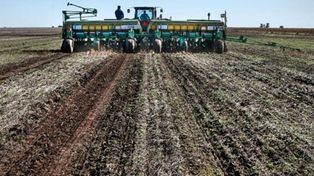 Si las reglas de juego no cambian los productores chicos vamos a tener que volver a la sojización, dijo Bacalini.