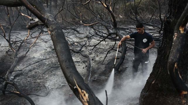 Aseguran que está controlado el voraz incendio en los bosques de Valeria del Mar