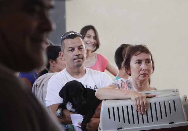 Tenencia responsable: realizaron más de 100 castraciones en La Tablada