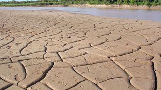 Escasez de lluvias: en el último año, durante 10 meses se registró déficit hídrico en la ciudad