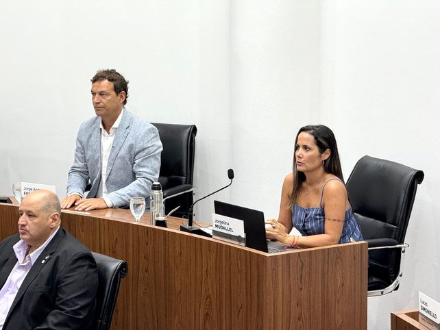 Apertura de sesiones: Fernández reclamó un baño de realidad y cuestionó la ausencia de un plan integral para Santa Fe