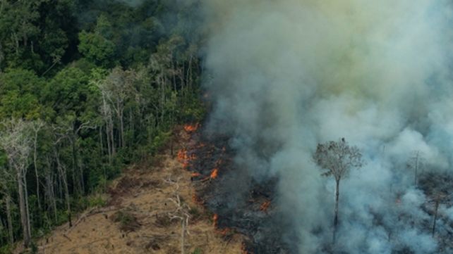 Amazonas. Este año aumentaron los incendios en esa región.
