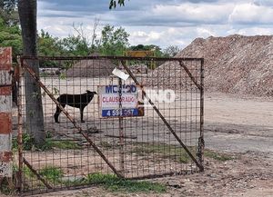 Escándalo ambiental en la isla Sirgadero: tras violar una clausura, la Justicia allanó un predio por relleno ilegal y posible contaminación