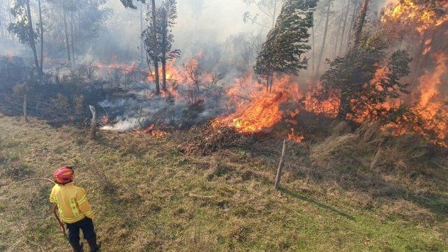 Personal de la subsecretaría de Ambiente brindó capacitación a brigadistas de Entre Ríos y Río Negro para estandarizar procedimientos ante incendios forestales