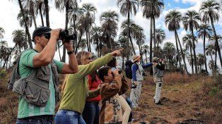 El Parque Nacional El Palmar promueve nuevas experiencias para los visitantes.